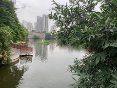 -荔湾湖公园