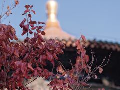 -潭柘寺景区