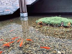 -几荷·恰似故人来(秀水广场店)
