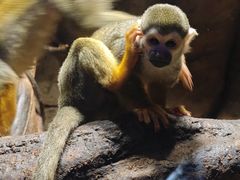 -波塞冬旅游度假区