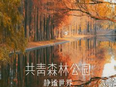 -上海共青森林公园
