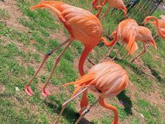-秦皇岛野生动物园