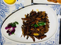 茶树菇焗牛柳-江南韵·无锡太湖文化体验餐厅(凤凰天街店)