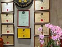 -温鉴良实用咏春拳