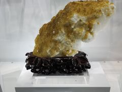 -中国地质大学逸夫博物馆