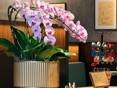 -庐灶江南·江南菜·四合院Bistro(东直门·华侨夜泊君亭店)