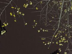 -觅山云南菜(泊富ICITY店)