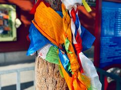 -大召寺明清一条街