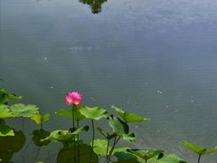 -静之湖湖畔餐厅