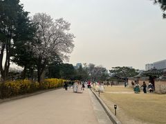 -景福宫