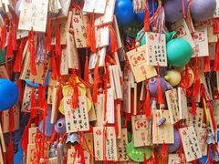 -野象谷景区