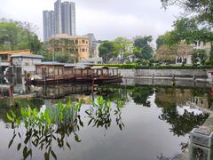 -荔湾湖公园
