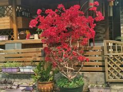 -鹏城人家海鲜酒家·23年老字号(较场尾店)