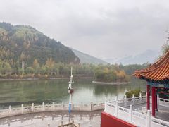 -芦芽山旅游度假区