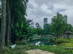 -武汉动物园