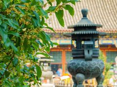-颐和园