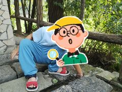 -井塘古村
