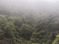 -苍山感通索道