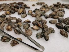 鲍鱼-圣罗巴甄选自助(麦凯乐店)
