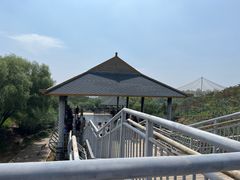 -大青山野生动物园