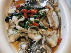 -陶缘一号·四季缘·老字号顺德菜·户外婚礼家宴(西滘店)