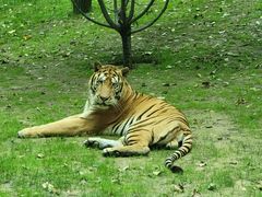 -北京野生动物园