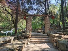 -淄博聊斋城景区