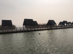 -滆湖低碳生态公园