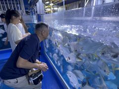 -迪拜水族馆及水下动物园