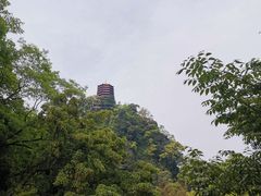 -青城山