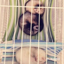 汉中别哈希娱乐- 哈希游戏平台- 哈希游戏官方网站墅拆迁律师