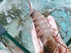 -李哥海鲜烧烤家常菜(孔雀城店)