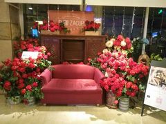 -杂咖zacup(领展中心城店)
