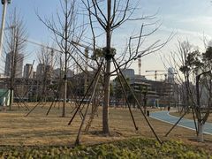 -后襄河公园