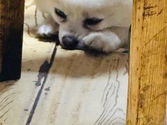 -红升老菜馆(巨兴街店)