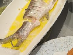 -颂福楼·南京菜(定淮门店)