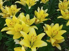 -长春公园(普阳街道)