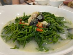 上汤桑芽-粤西稻里(富力路店)