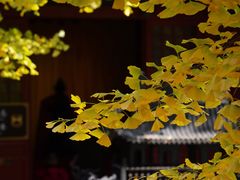 -红螺寺
