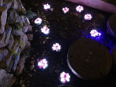 -淀里船宴(裕华东路店)