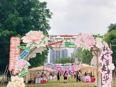 -广西壮族自治区药用植物园