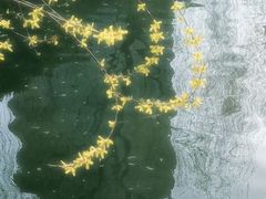 -迎泽公园