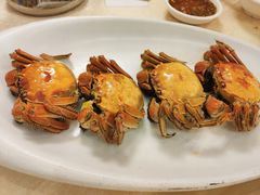 -琼菜王(南海店)