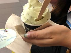 -野人先生现做冰淇淋(西安赛格店)