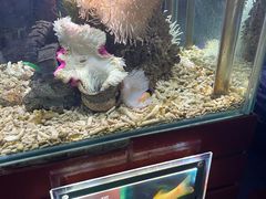 -太平洋海底世界