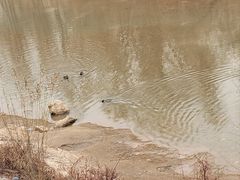 -胖子鱼·天水麻辣鱼火锅(秦州407店)