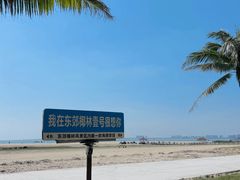 -东郊椰林