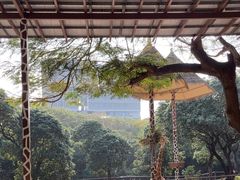 -深圳野生动物园