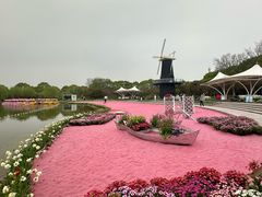 -上海鲜花港
