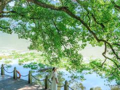 -严子陵钓台(富春江小三峡)